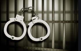 assam professor arrested