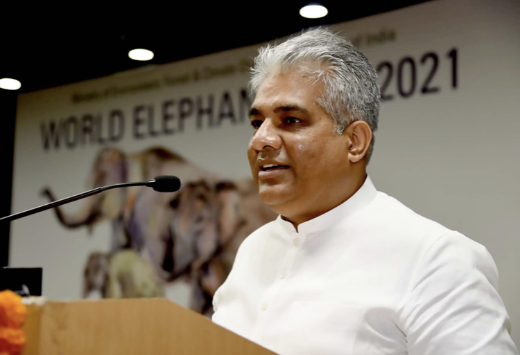 Bhupender Yadav: We take responsibility for whatever happened in Kuno