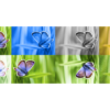 Google tests new tool to watermark, identify AI images