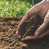 Soil in India