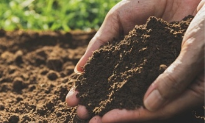 Soil in India