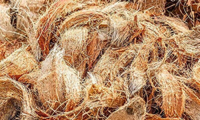 coconut coir