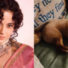 Kangana Ranaut gives glimpse of ‘lil girl’ Pluto, misses her ‘bundle of joy’