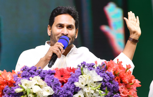 Andhra CM urges YSRCP cadres to work for clean sweep in Assembly, LS polls