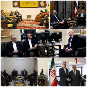 Iran not looking to expand war in region: FM