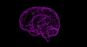 Researchers map out genetics of schizophrenia