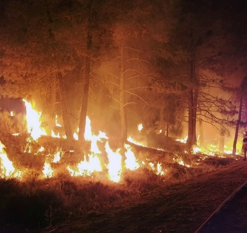 Wildfires continue to ravage Western US amid record drought